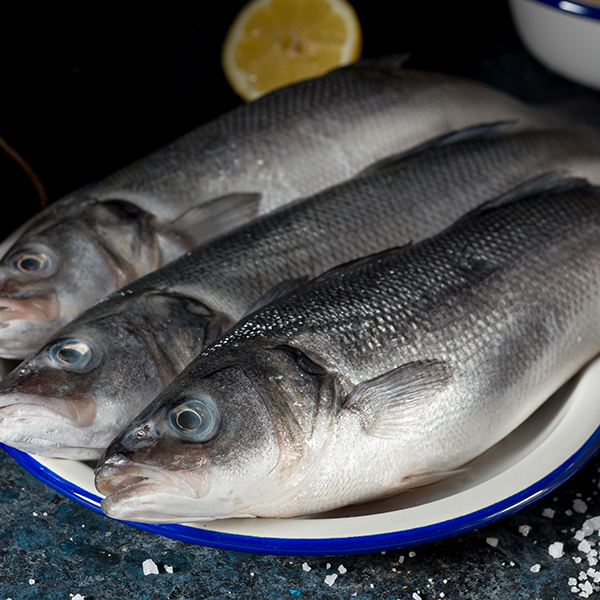 Corvina